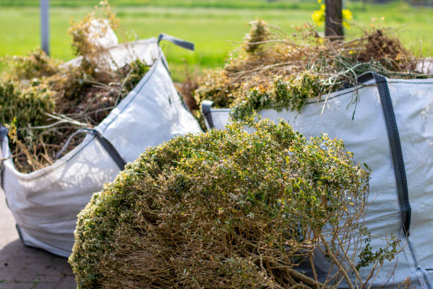 Best Local Junk Hauling  in Lake Success, NY