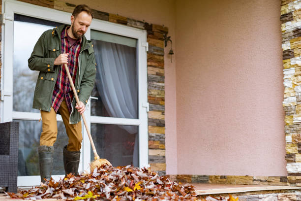 Best Basement Cleanout Services  in Lake Success, NY